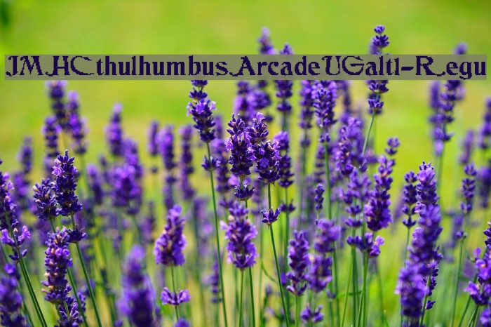 JMHCthulhumbusArcadeUGalt1-Regu Font examples