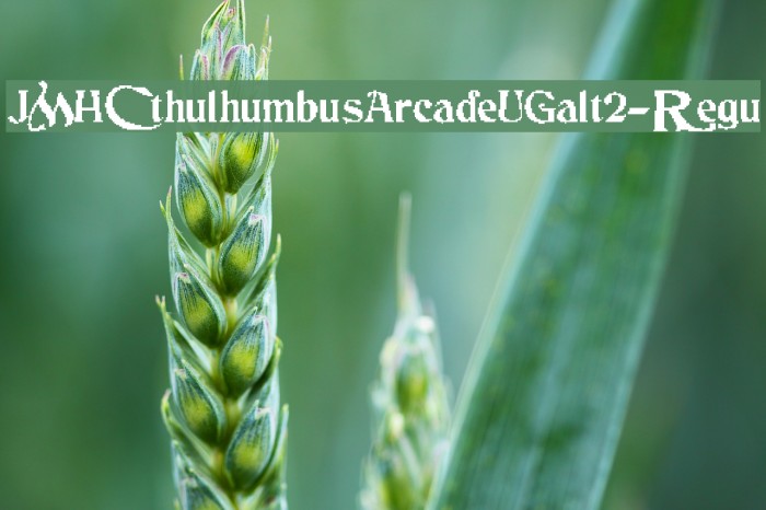 JMHCthulhumbusArcadeUGalt2-Regu Font examples
