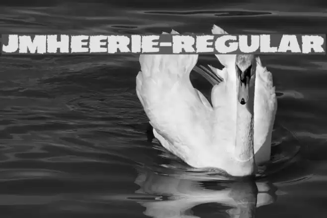 JMHEERIE-Regular Polices examples