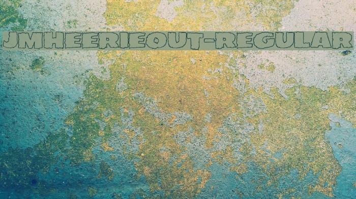 JMHEERIEOUT-Regular Polices examples