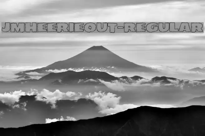 JMHEERIEOUT-Regular Polices examples