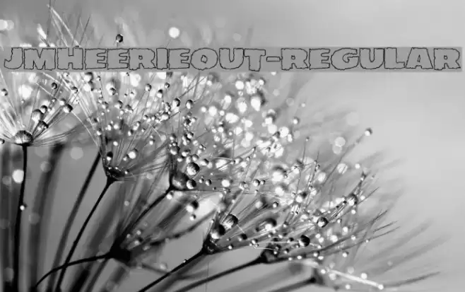 JMHEERIEOUT-Regular Polices examples