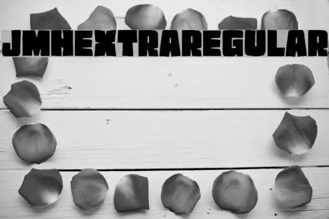 JMHEXTRA-Regular Font examples