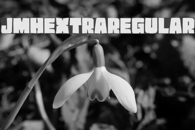 JMHEXTRA-Regular Font examples