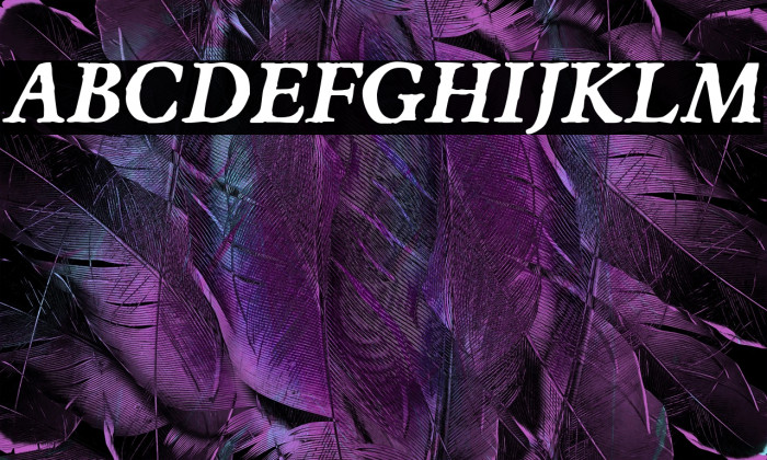 JMHEspinosa-BoldItalic Example 1