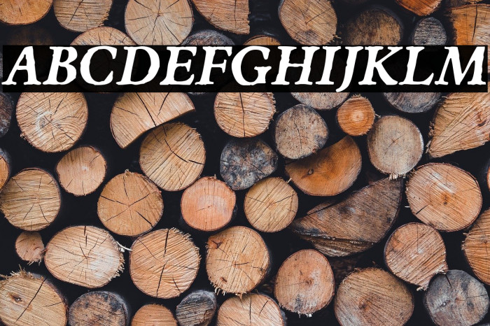 JMHEspinosa-BoldItalic Example 2