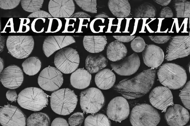 JMHEspinosa-BoldItalic Font examples