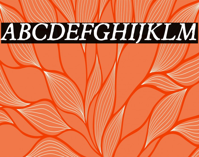 JMHEspinosa-Italic Example 1