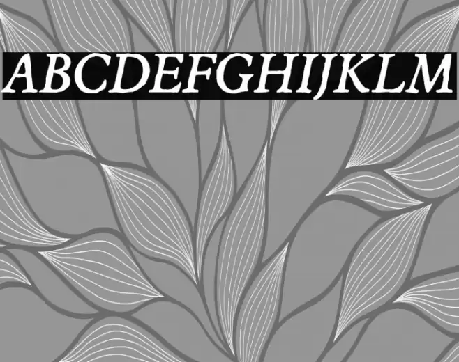 JMHEspinosa-Italic Font examples