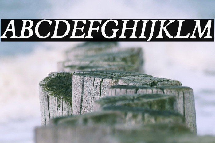 JMHEspinosa-Italic Example 2