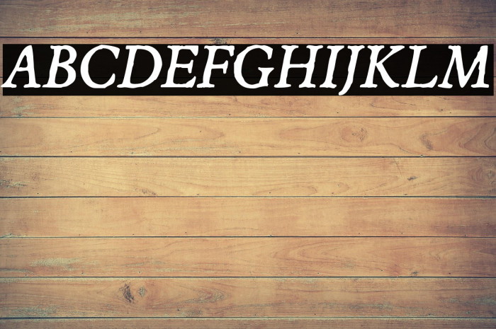 JMHEspinosa-Italic Example 3