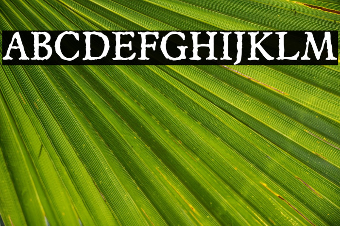 JMHEspinosa-Regular Example 3