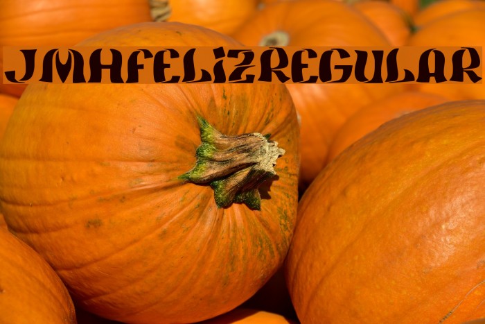 JMHFeliz-Regular Font examples