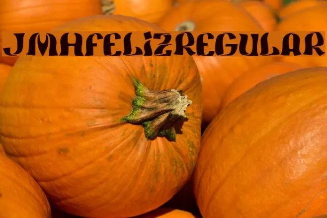 JMHFeliz-Regular Example 3