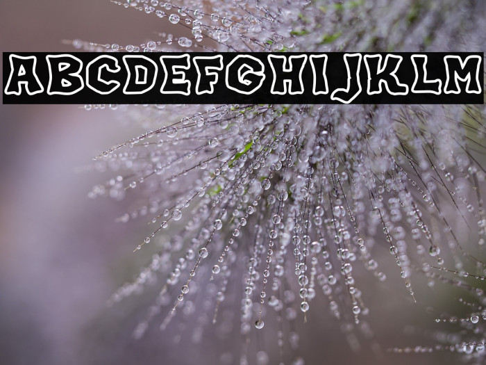 JMHKORAKOUTLINE-Regular Example 2