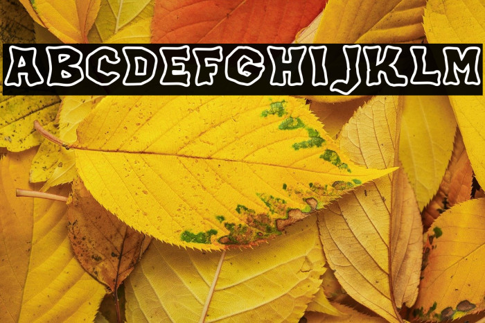 JMHKORAKOUTLINE-Regular Example 3