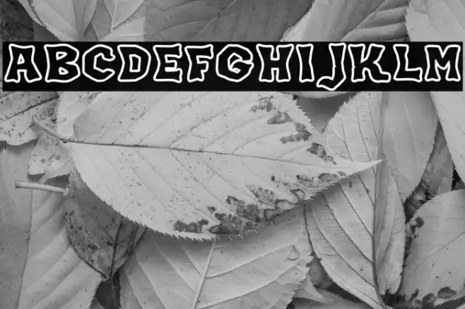 JMHKORAKOUTLINE-Regular Font examples