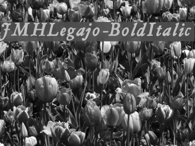JMHLegajo-BoldItalic Font examples