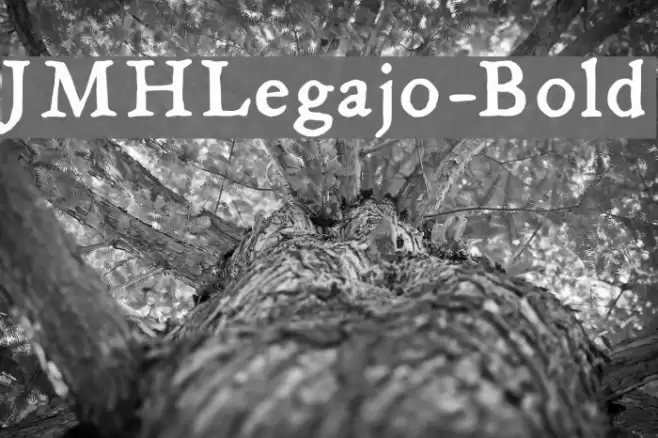JMHLegajo-Bold Polices examples