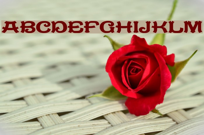 JMHMEJANA-Regular Font examples