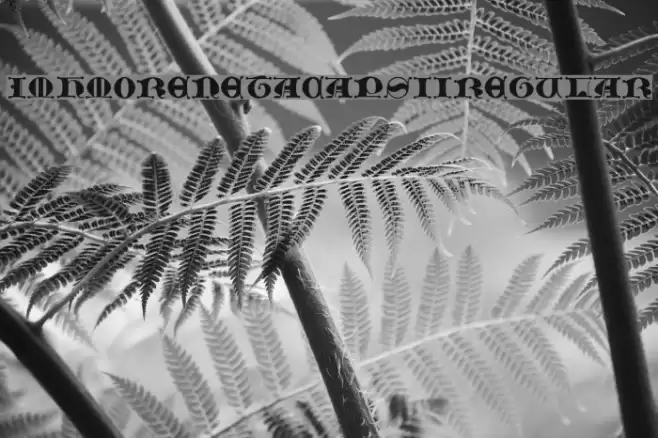 JMHMorenetaCAPSII-Regular Font examples