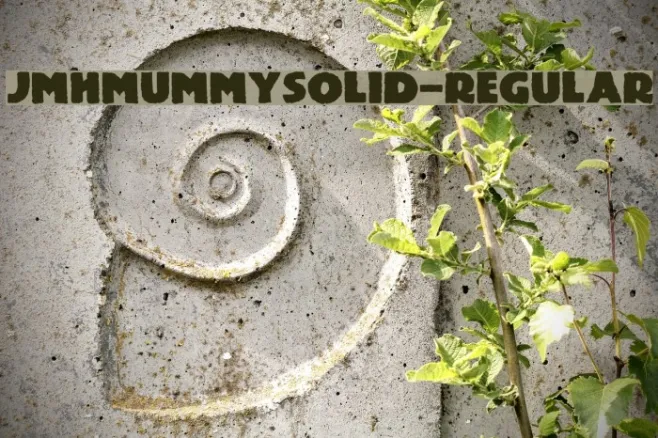 JMHMummySolid-Regular Example 1