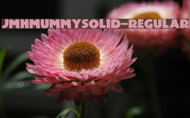 JMHMummySolid-Regular Example 2