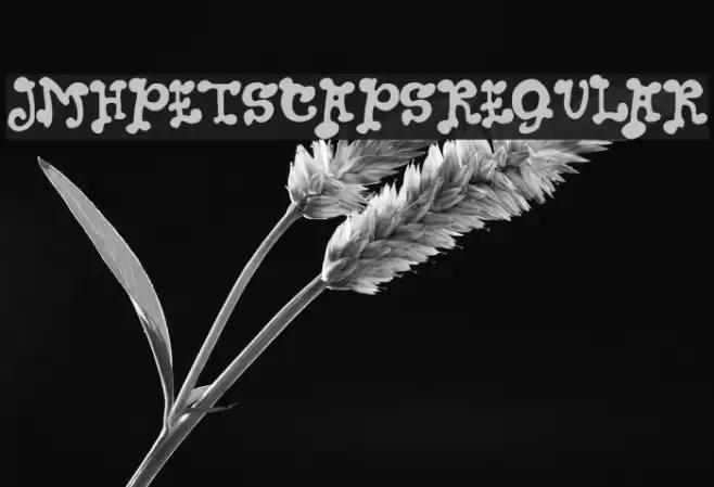 JMHPETSCAPS-Regular Font examples