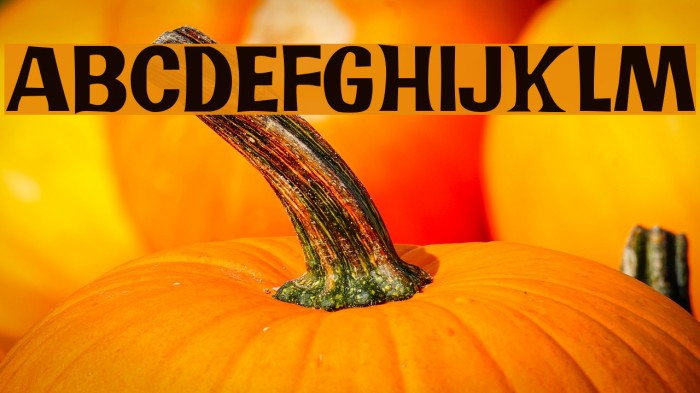 JMHPR-Regular Example 1