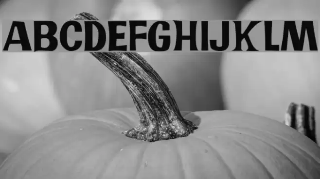 JMHPR-Regular Font examples