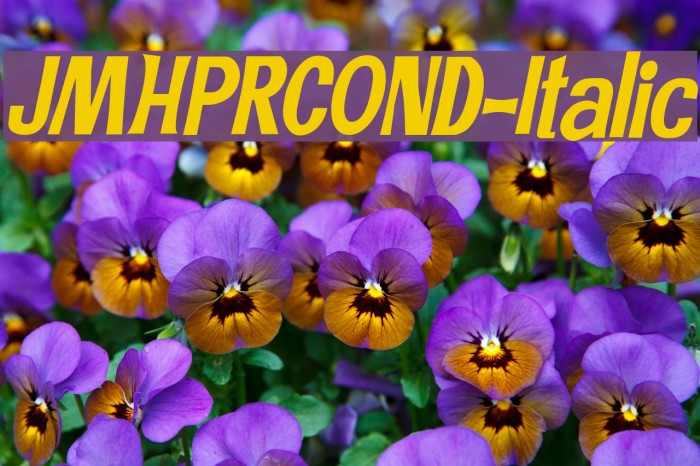 JMHPRCOND-Italic Example 1