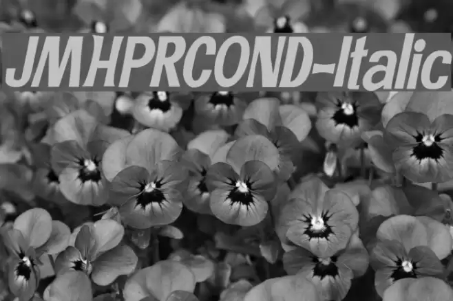 JMHPRCOND-Italic Font examples