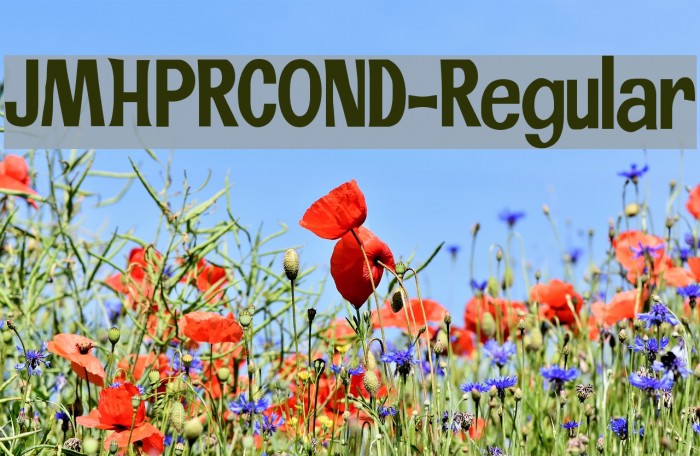 JMHPRCOND-Regular Example 1