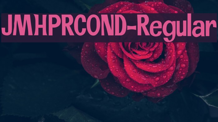 JMHPRCOND-Regular Example 2