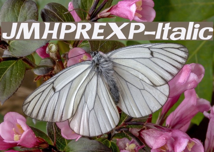 JMHPREXP-Italic Example 2