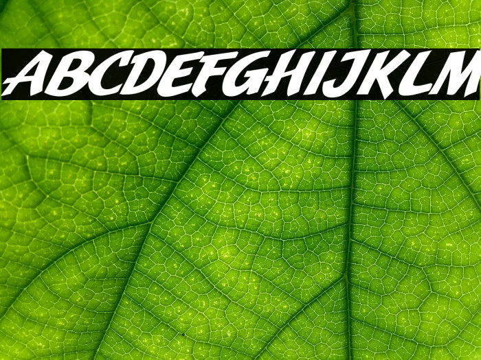 JMHPulpPaperback-BoldItalic Font examples