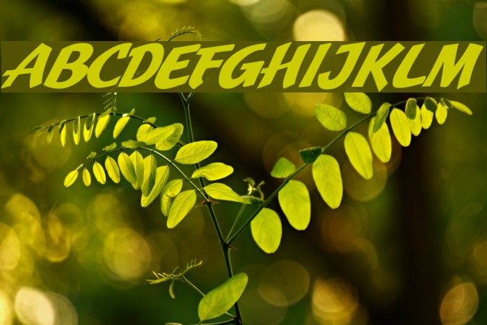 JMHPulpPaperback-BoldItalic Font examples