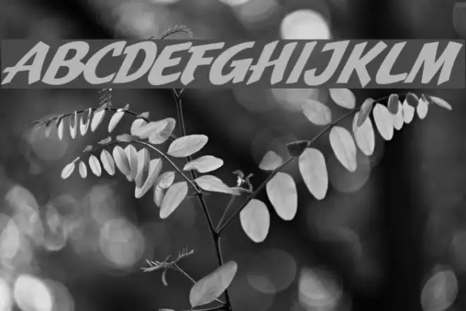 JMHPulpPaperback-BoldItalic  examples