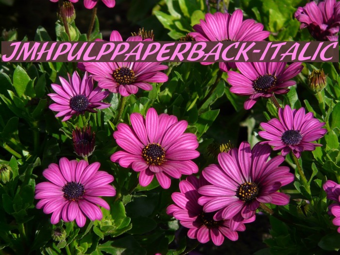 JMHPulpPaperback-Italic Font examples