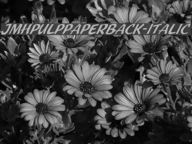 JMHPulpPaperback-Italic Polices examples