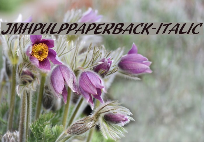 JMHPulpPaperback-Italic Font examples
