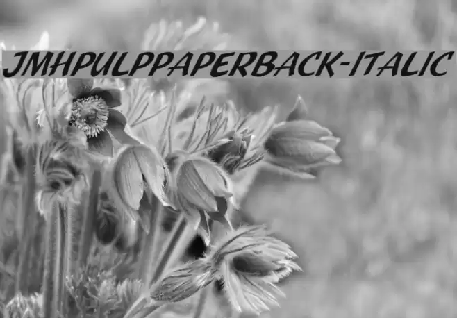 JMHPulpPaperback-Italic Polices examples
