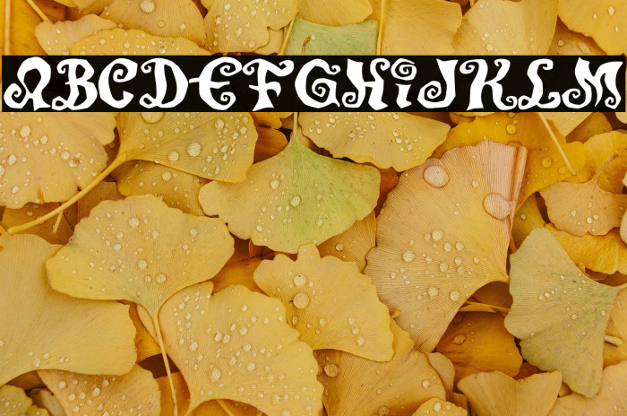 JMHPumpkin-Regular Example 2