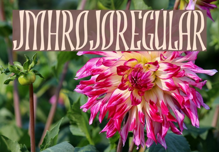 JMHROJO-Regular Example 3