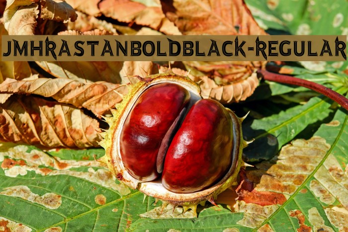 JMHRastanBoldBlack-Regular Example 3