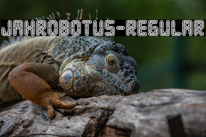 JMHRobotus-Regular Example 1