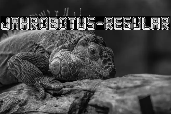 JMHRobotus-Regular Polices examples