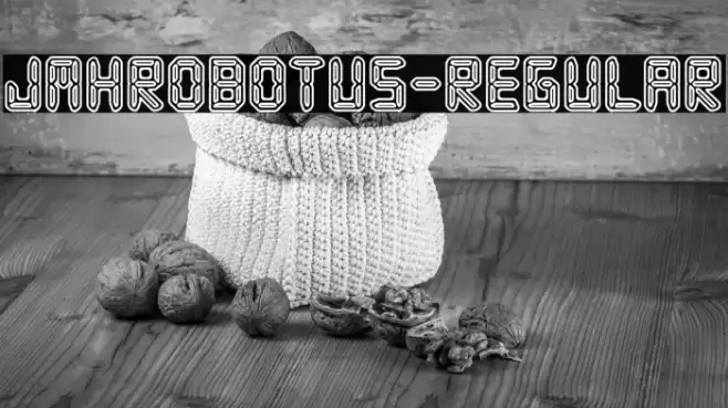JMHRobotus-Regular Polices examples