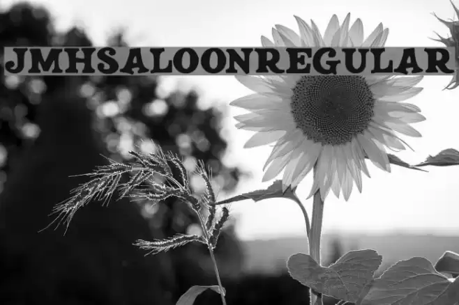 JMHSALOON-Regular फ़ॉन्ट examples