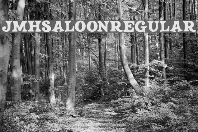JMHSALOON-Regular फ़ॉन्ट examples